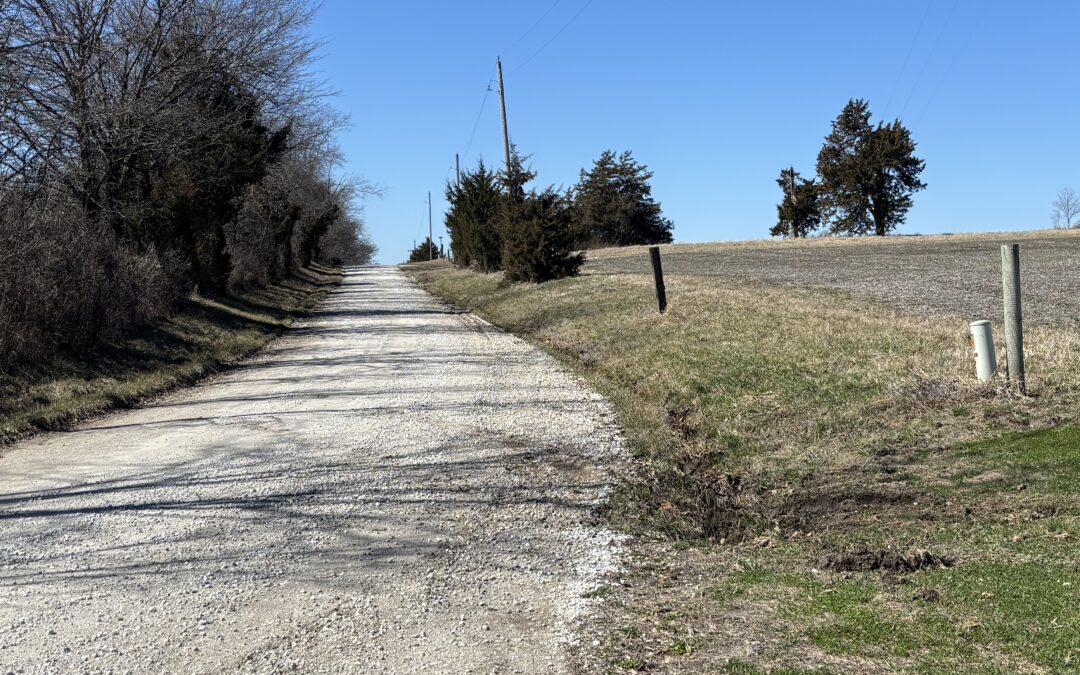 The Guilt of Long-Distance Caregiving