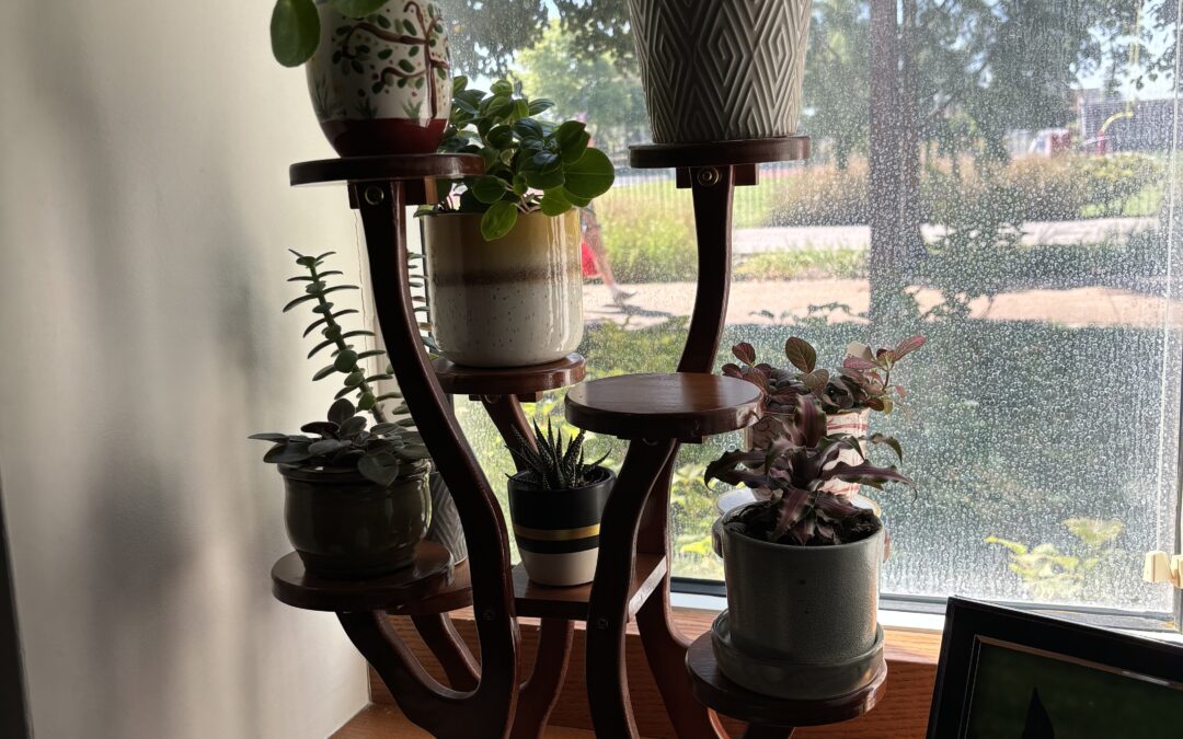 What Midlife Collections Reveal